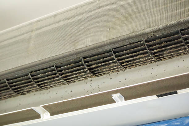 Best HVAC Air Duct Cleaning  in Toledo, OR